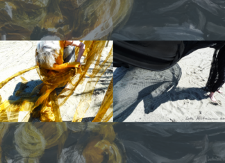 OUT OF THE DARK – INTO FREEDOM / Schaumbad – Freies Atelierhaus Graz