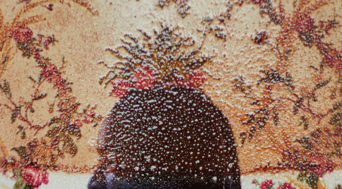 Zwischen Erde und Hoffnung – Henrike Stahl / Leica Galerie, Salzburg