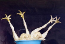 Project Groundswell. Visionen zum Klimaschutz / FOTOHOF, Salzburg