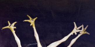 Project Groundswell. Visionen zum Klimaschutz / FOTOHOF, Salzburg