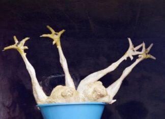 Project Groundswell. Visionen zum Klimaschutz / FOTOHOF, Salzburg