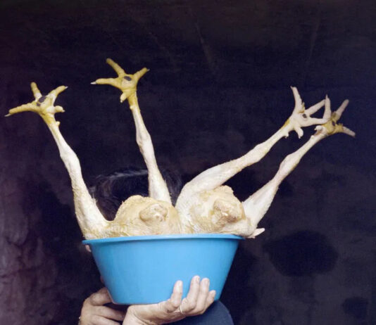 Project Groundswell. Visionen zum Klimaschutz / FOTOHOF, Salzburg