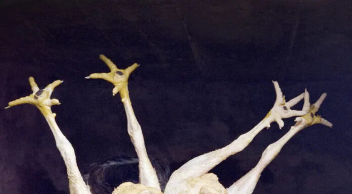 Project Groundswell. Visionen zum Klimaschutz / FOTOHOF, Salzburg