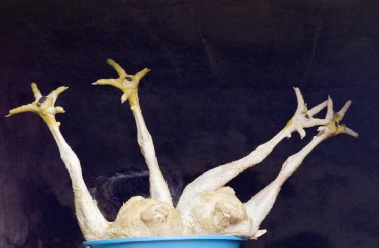 Project Groundswell. Visionen zum Klimaschutz / FOTOHOF, Salzburg