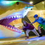 MUSEUM TOTAL 2026 / Linz, various locations