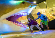 MUSEUM TOTAL 2026 / Linz, various locations