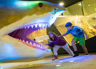 MUSEUM TOTAL 2026 / Linz, various locations