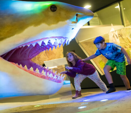 MUSEUM TOTAL 2026 / Linz, various locations