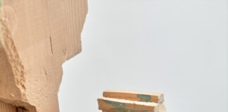 Im Rad der Emotionen – Bewusstsein, Fürsorge und Formen leiser Resilienz in Krisenzeiten / rotor – Zentrum für zeitgenössische Kunst, Graz