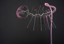 The World Without Us / Lentos Kunstmuseum, Linz