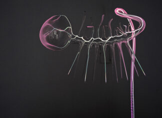 The World Without Us / Lentos Kunstmuseum, Linz