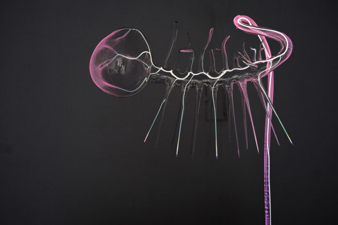 Martin Walde, UBIQ_X, 2021 Courtesy Martin Walde und Galerie Krinzinger Wien Bildrecht, Wien 2026