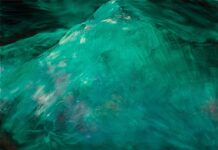 „STATES OF BECOMING“ – Sammlung Cserni: Kunst aus Österreich / Kunsthaus Nexus, Saalfelden, Salzburg