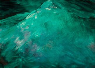 „STATES OF BECOMING“ – Sammlung Cserni: Kunst aus Österreich / Kunsthaus Nexus, Saalfelden, Salzburg