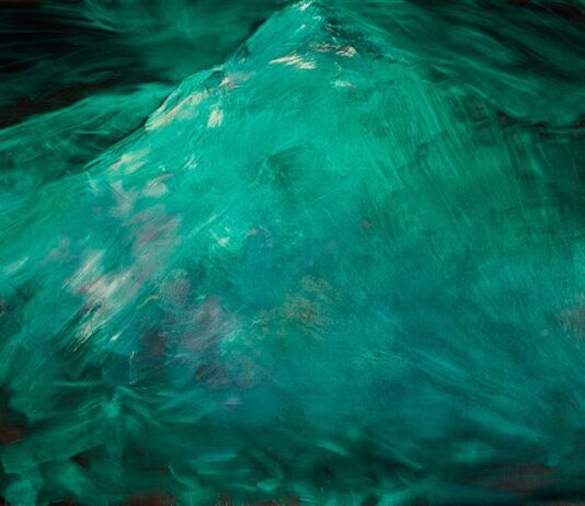 „STATES OF BECOMING“ – Sammlung Cserni: Kunst aus Österreich / Kunsthaus Nexus, Saalfelden, Salzburg