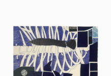 Birgit Pleschberger / Künstlerhaus Palais Thurn und Taxis Bregenz