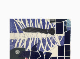 Birgit Pleschberger / Künstlerhaus Palais Thurn und Taxis Bregenz