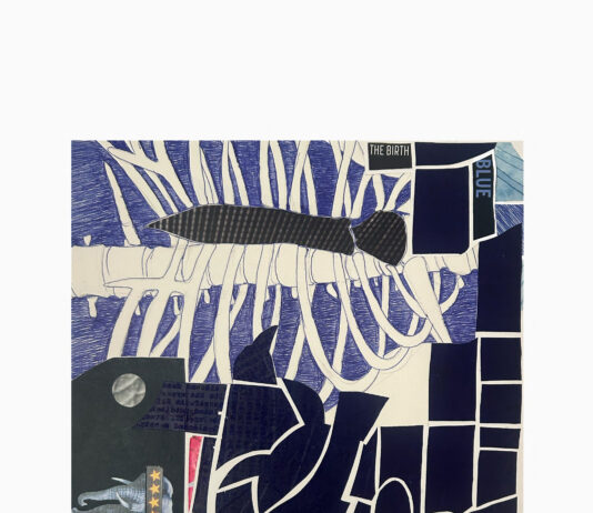 Birgit Pleschberger / Künstlerhaus Palais Thurn und Taxis Bregenz