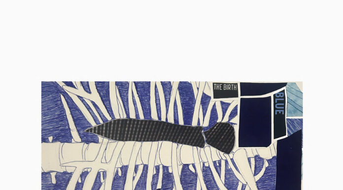 Birgit Pleschberger / Künstlerhaus Palais Thurn und Taxis Bregenz