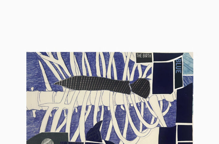 Birgit Pleschberger / Künstlerhaus Palais Thurn und Taxis Bregenz