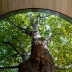 The Prize Bag – Double Lives of Architecture – Architecture Prize of the Province of Styria 2025 / HDA – Haus der Architektur, Graz