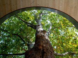 The Prize Bag – Double Lives of Architecture – Architekturpreis des Landes Steiermark 2025 / HDA – Haus der Architektur, Graz