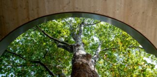 The Prize Bag – Double Lives of Architecture – Architekturpreis des Landes Steiermark 2025 / HDA – Haus der Architektur, Graz