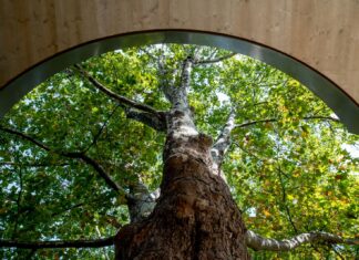 The Prize Bag – Double Lives of Architecture – Architekturpreis des Landes Steiermark 2025 / HDA – Haus der Architektur, Graz