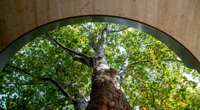 The Prize Bag – Double Lives of Architecture – Architecture Prize of the Province of Styria 2025 / HDA – Haus der Architektur, Graz