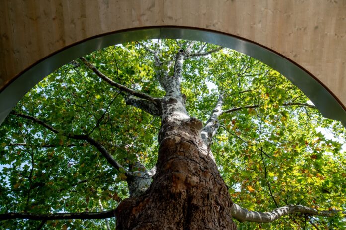 Salon Stolz, Architektursalon und su.n - spaceunit network – © Roland Renner