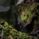 Land Bodies, Decomposing Mass / Culture Forum Ottawa