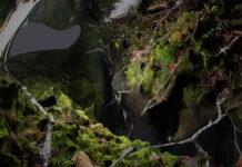 Land Bodies, Decomposing Mass / Culture Forum Ottawa