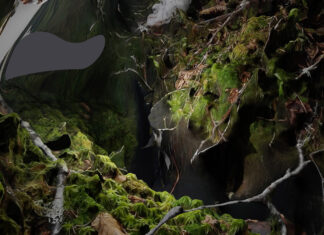 Land Bodies, Decomposing Mass / Kulturforum Ottawa