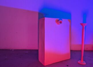 Magdalena Berger. Certain Expectation / Salzburger Kunstverein, Salzburg