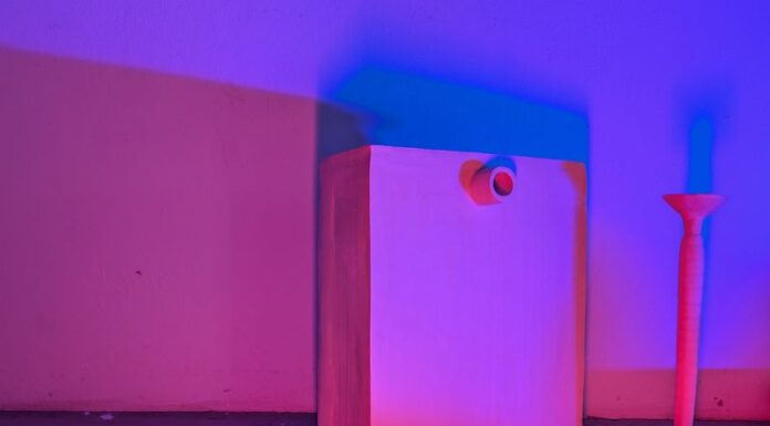 Magdalena Berger. Certain Expectation / Salzburger Kunstverein, Salzburg