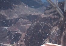 Georg Petermichl – Universal thoughts: Kleinstes gemeinsames Vielfaches / Francisco Carolinum Linz