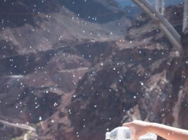 Georg Petermichl – Universal thoughts: Kleinstes gemeinsames Vielfaches / Francisco Carolinum Linz