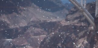 Georg Petermichl – Universal thoughts: Kleinstes gemeinsames Vielfaches / Francisco Carolinum Linz