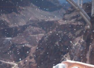 Georg Petermichl – Universal thoughts: Kleinstes gemeinsames Vielfaches / Francisco Carolinum Linz