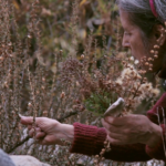 Seeds – Reclaiming Roots, Sowing Futures / Kunsthaus Wien