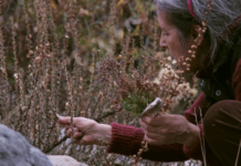 Seeds – Reclaiming Roots, Sowing Futures / Kunsthaus Wien