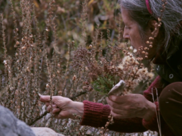 Seeds – Reclaiming Roots, Sowing Futures / Kunsthaus Wien