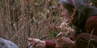 Seeds – Reclaiming Roots, Sowing Futures / Kunsthaus Wien