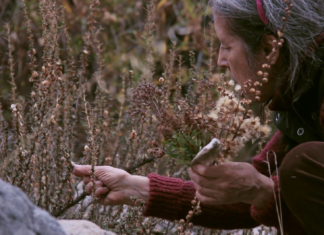 Seeds – Reclaiming Roots, Sowing Futures / Kunsthaus Wien