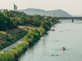Die Donauinsel – 21 Kilometer Freiraum / Wien Museum