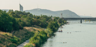 Die Donauinsel – 21 Kilometer Freiraum / Wien Museum