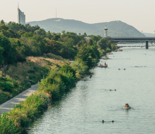 Die Donauinsel – 21 Kilometer Freiraum / Wien Museum