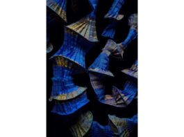 URSI FÜRTLER Textil – Abstrakt/ MAK Wien