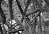 ELISABETH CZIHAK – “LENS – LIGHT – LINE” / Galerie Marenzi, Leibnitz, Styria