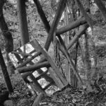 ELISABETH CZIHAK – „LINSE – LICHT – LINIE“ / Galerie Marenzi, Leibnitz, Steiermark